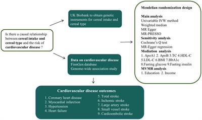 Causal relationship of cereal intake and type with cardiovascular disease: a Mendelian randomization study
